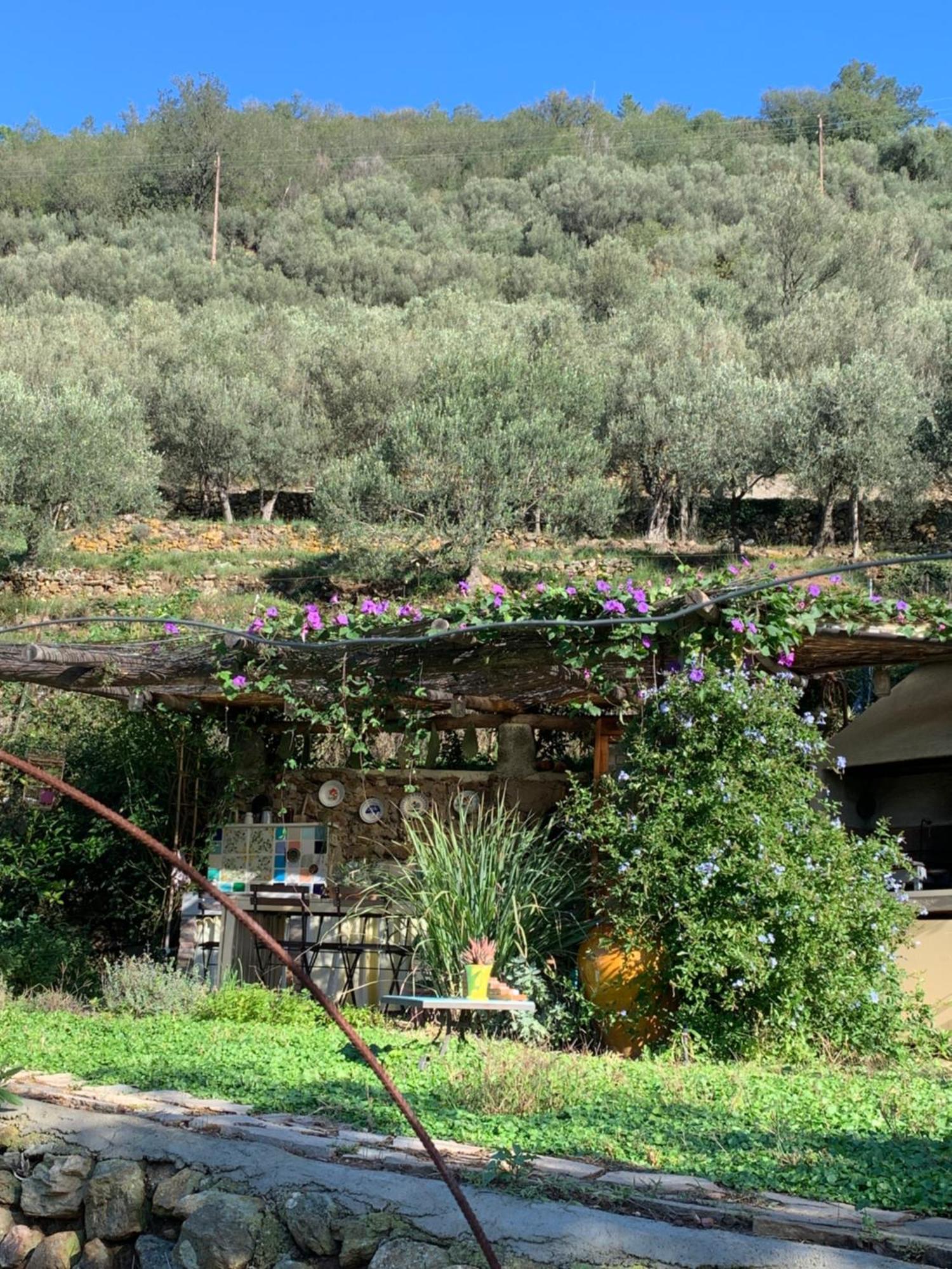 B&B Cà de Badin Noli Exterior foto